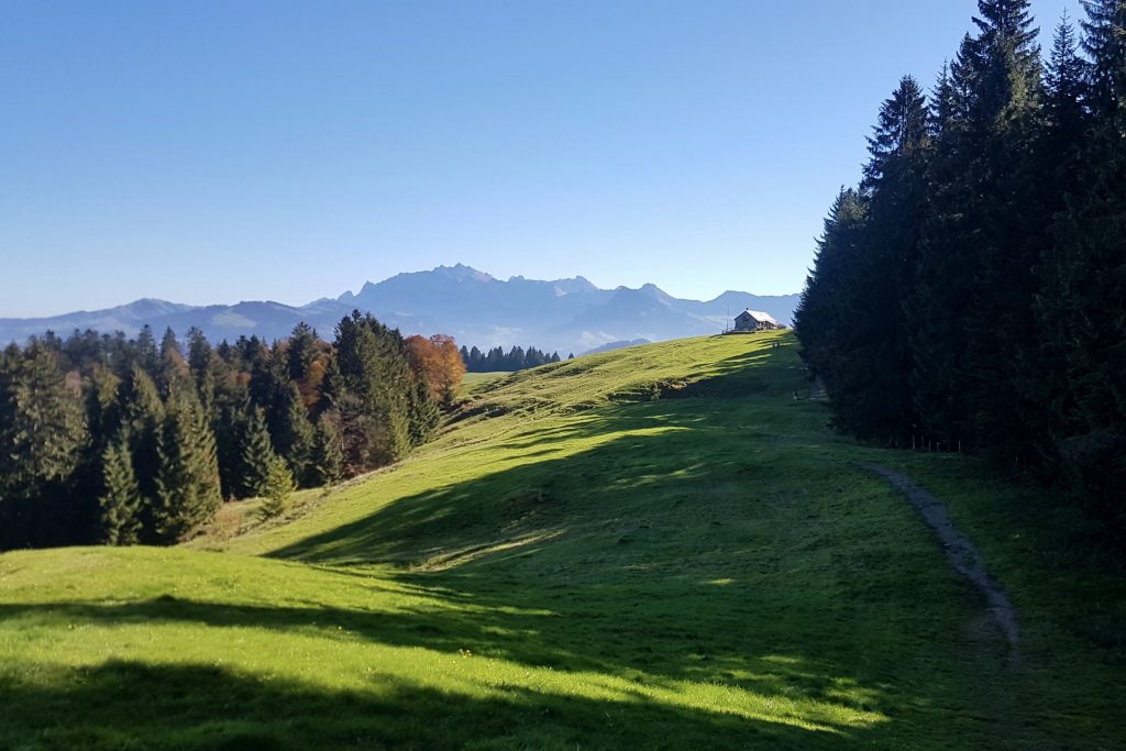 Das Alpsteingebirge thront im Hintergrund, im Vordergrund das gemütliche Berggasthaus Oberbächen